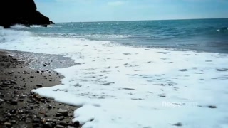 Смотри Big Ass Brunette Cindy Strips on the Beach - бесплатное HD порно на FREE-FULL-PORN.COM